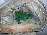 Bild 7 von 4